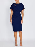 Alina Navy Dress