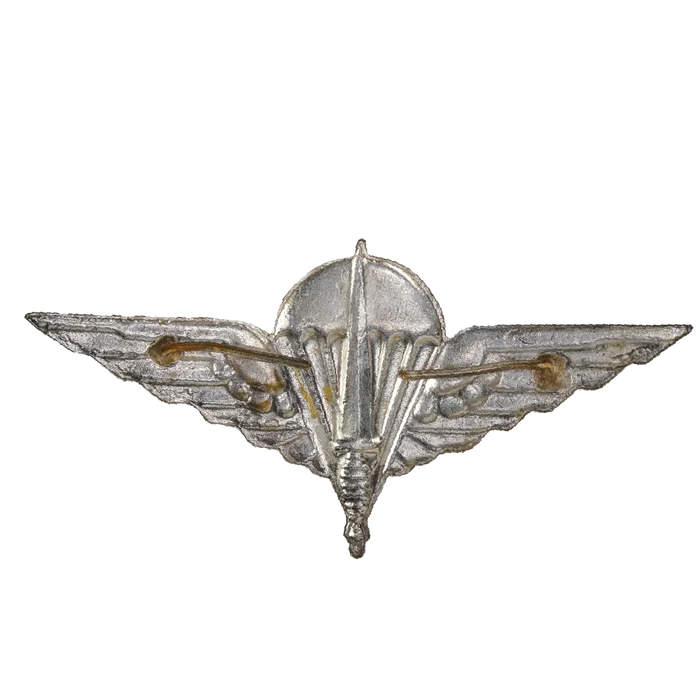 Belgian Para-Commando Brigade Badge, Item 2 - Belgian Army Surplus - Flags, Badges & Insignia