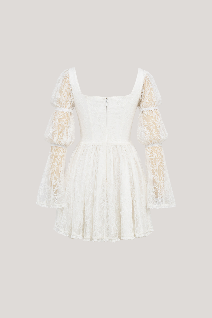 Bethania Lace Floral Ruch Mini Dress