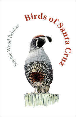 Birds of Santa Cruz by Sophie Wood Brinker