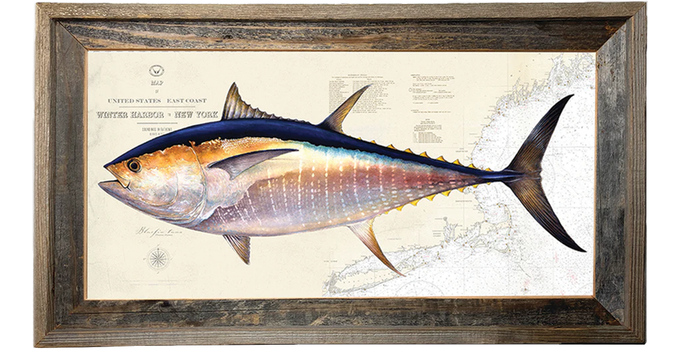 Bluefin Tuna