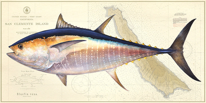 Bluefin Tuna