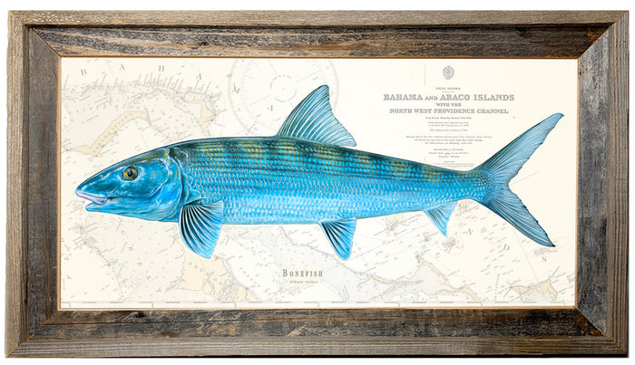 Bonefish