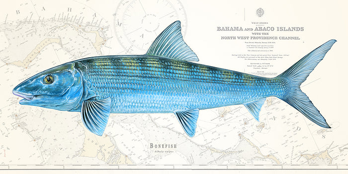 Bonefish