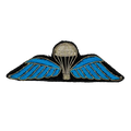 Bullion Paratrooper Badge - Army & Outdoors - Flags, Badges & Insignia