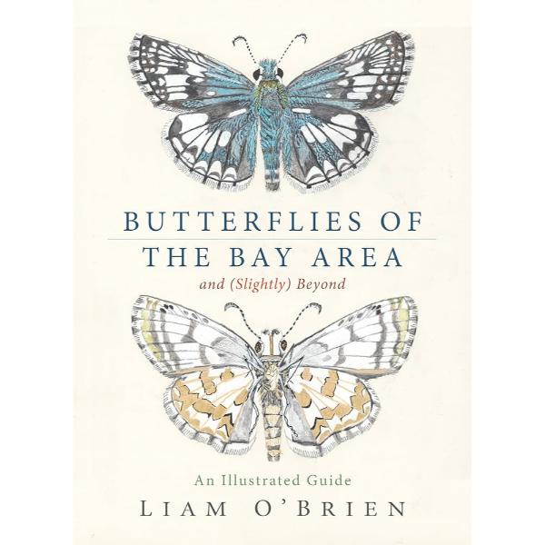 Butterflies of the Bay Area (and Slightly Beyond) by Liam O'Brien