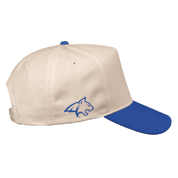 Cats Brawl 5 Panel