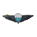 Ciskei Defence Force (CDF) Parachute Wing - Basic Badge - Army & Outdoors - Flags, Badges & Insignia