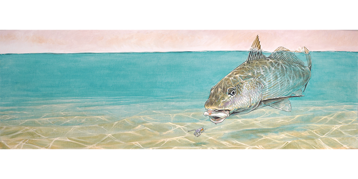 Corbina surface tension