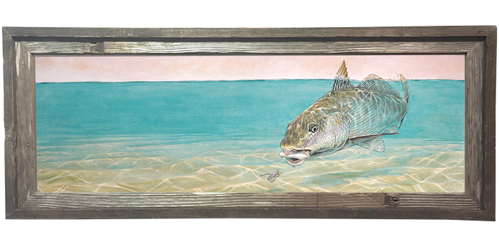 Corbina surface tension