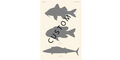 Custom Fish Slam - Hawaii