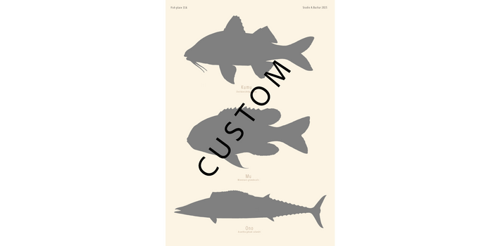 Custom Fish Slam - Hawaii
