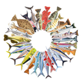 Custom Sticker Pack