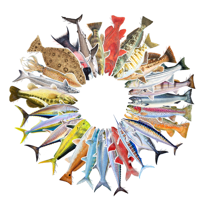 Custom Sticker Pack
