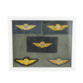 Danish Army Parachute Qualification Wings Display Board - Danish Surplus - Flags, Badges & Insignia