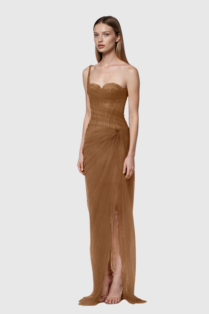 Dechen One Shoulder Corset Mesh Maxi Dress In Brown