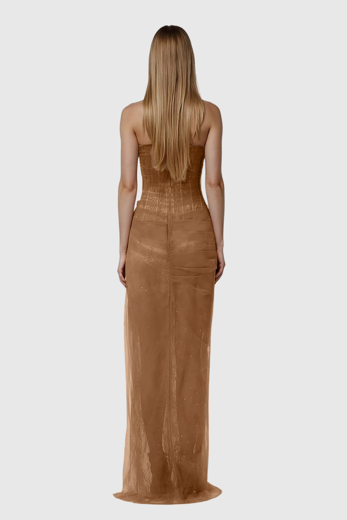 Dechen One Shoulder Corset Mesh Maxi Dress In Brown