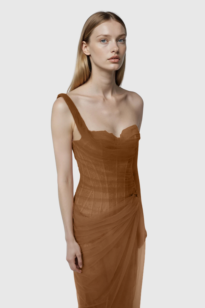 Dechen One Shoulder Corset Mesh Maxi Dress In Brown