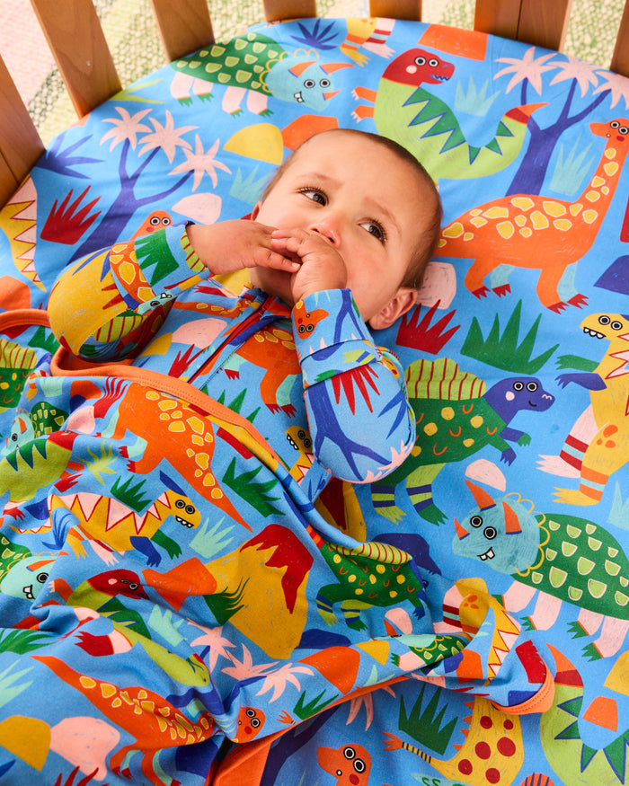 Dinosaur Roar Organic Cotton Snuggle Blanket