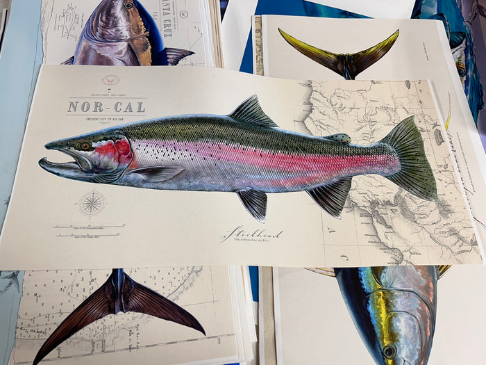 Discounted 12x24 Steelhead over NorCal