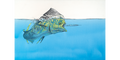 Dorado surface tension