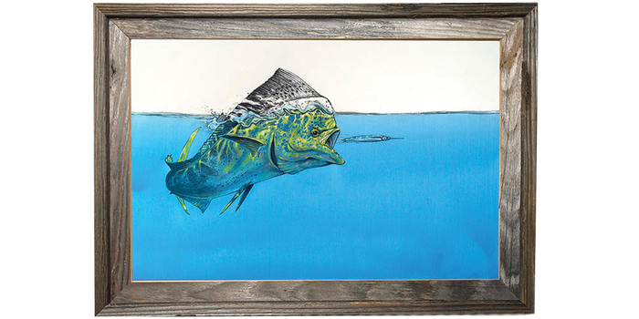 Dorado surface tension