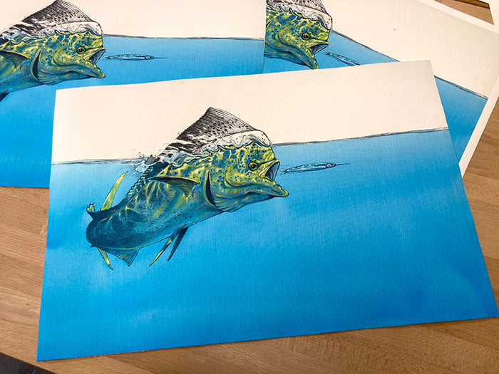 Dorado surface tension
