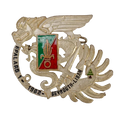 French Foreign Legion 1982 Operation Epaulard Badge - French Army Surplus - Flags, Badges & Insignia