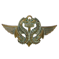 French Navy Combat Swimmer Qualification Badge - French Army Surplus - Flags, Badges & Insignia