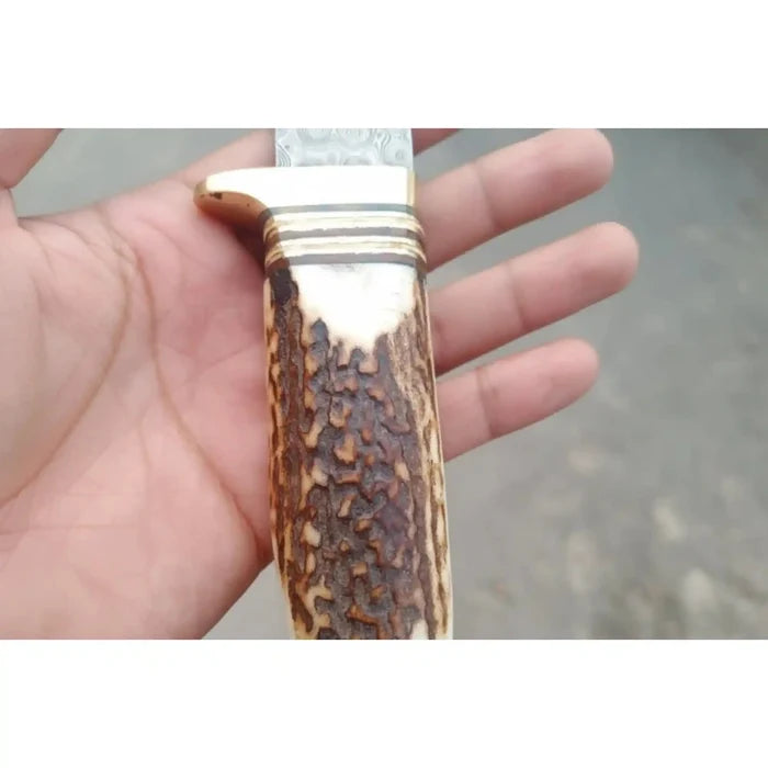 Gut Hook Skinner Knives Pair stag handle
