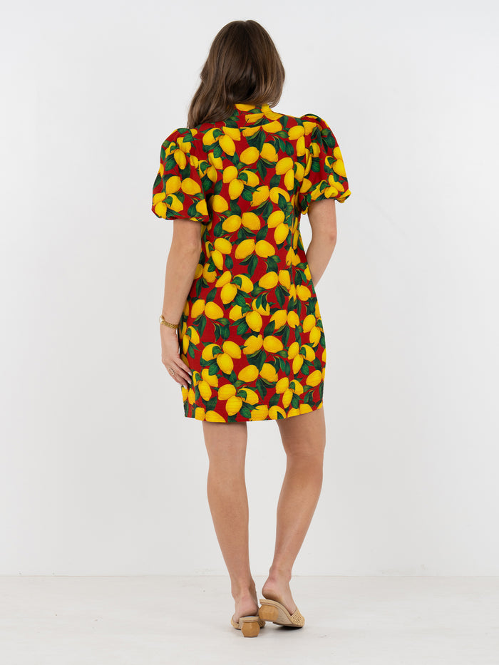 Hampton Mini