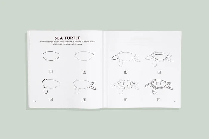 How To Draw Book - Under The Sea - Adored A Lovely Boutique