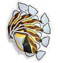 humuhumunukunukuāpuaʻa sticker