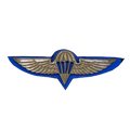 Israel Defense Forces (IDF) 1960s Parachutist Badge - Israeli Army Surplus - Flags, Badges & Insignia