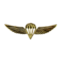 Israel Defense Forces (IDF) Gold Parachutist Badge - Israeli Army Surplus - Flags, Badges & Insignia