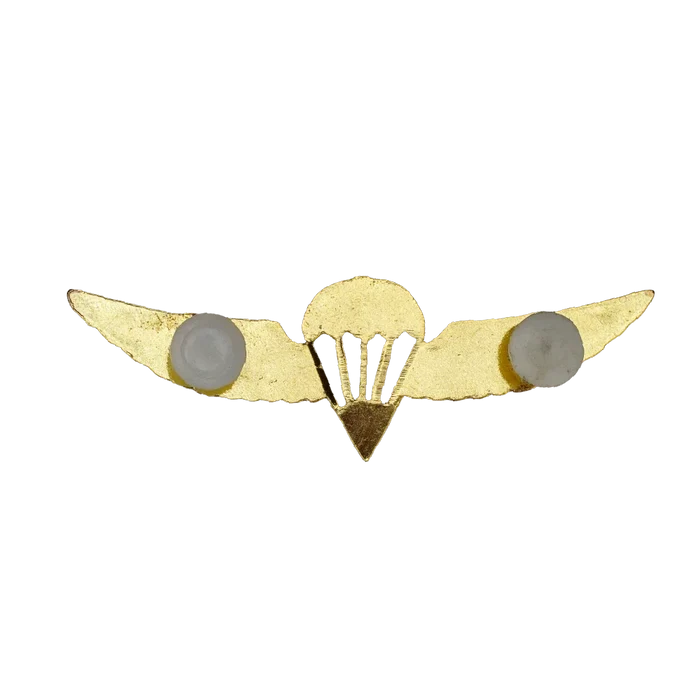 Israel Defense Forces (IDF) Gold Parachutist Badge - Israeli Army Surplus - Flags, Badges & Insignia