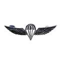Israel Defense Forces (IDF) Parachutist Badge, Item 2 - Israeli Army Surplus - Flags, Badges & Insignia