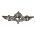 Israel Defense Forces (IDF) Senior Parachutist Badge - Israeli Army Surplus - Flags, Badges & Insignia