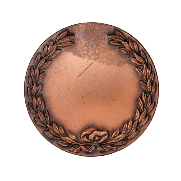 Israeli Defence Force (IDF) Paratrooper Commemorative Coin - Israeli Army Surplus - Flags, Badges & Insignia