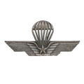 Italian Army Parachute Qualification Badge - Italian Army Surplus - Flags, Badges & Insignia
