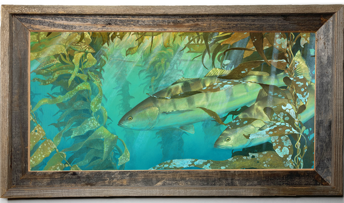 Kelp Room Seabass