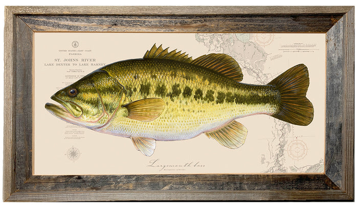 Largemouth