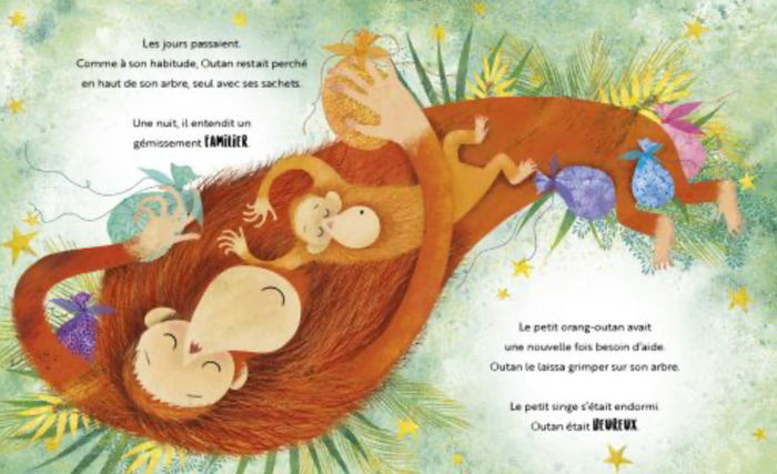 Livre | Une jalousie d'orang-outan