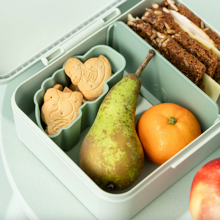 Lunch box | Croco