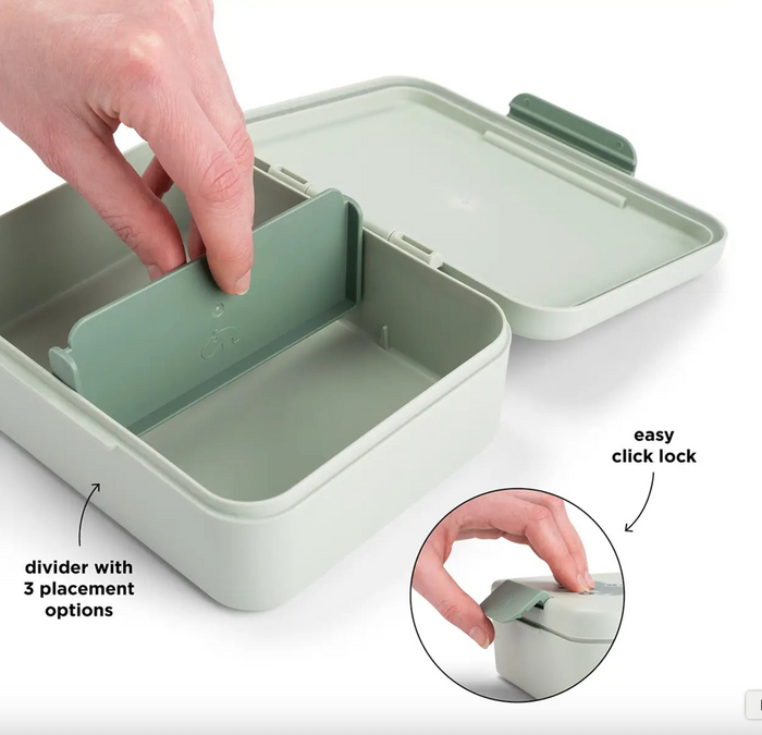 Lunch box | Croco