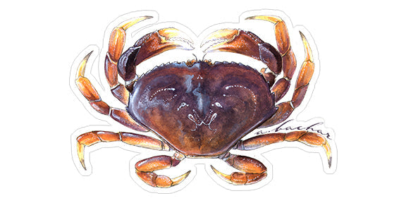 Mini Dungeness Crab Stickers (Pack of 5)