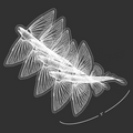 Mini Flyfish White Stickers (Pack of 5)
