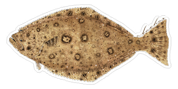 Mini Halibut Stickers (Pack of 5)