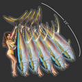 Mini Marla Yellowfin Stickers (Pack of 5)