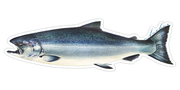 Mini Salmon Stickers (Pack of 5)